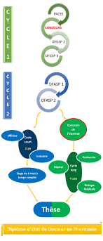 Formation Pharmacie: Le Chemin vers Devenir Pharmacien Qualifié