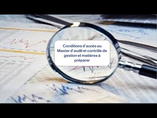 Maîtrise en Audit et Contrôle de Gestion : Clés d’une Carrière Prospère