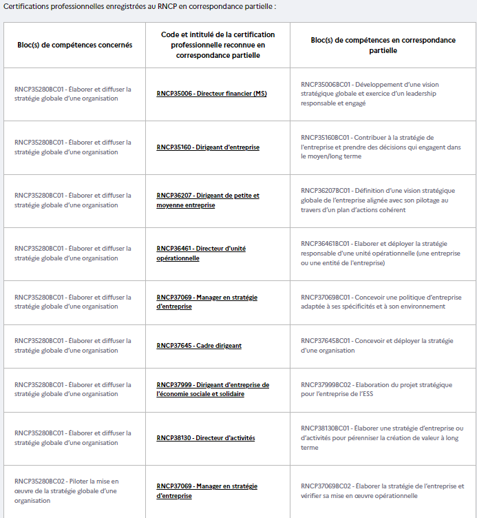master management et stratégie d entreprise débouchés