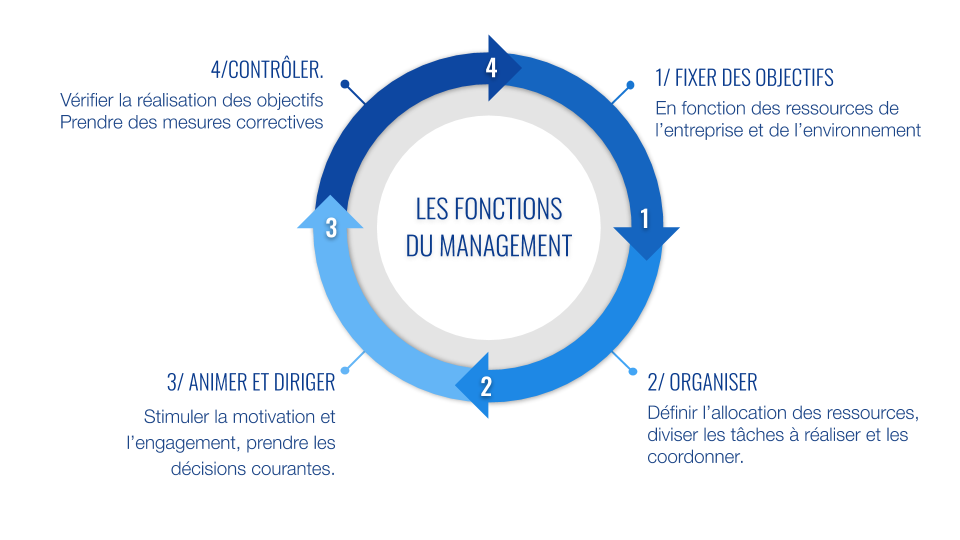 Cours de management des entreprises : Clés pour le succès professionnel