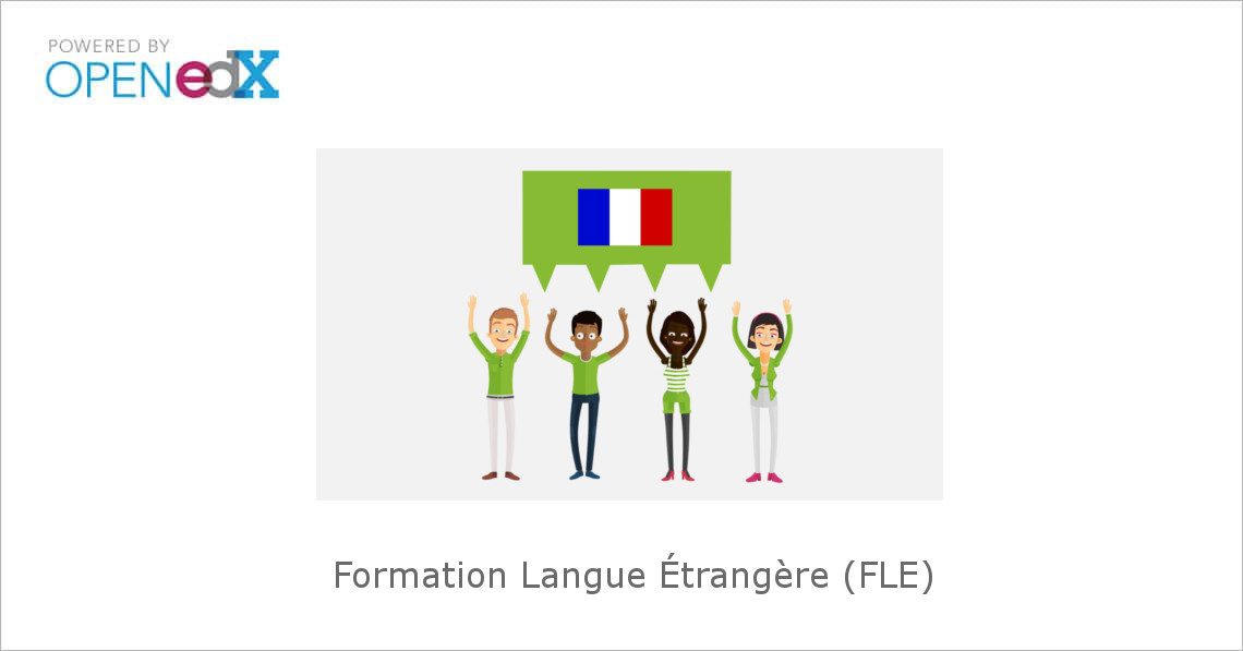 Développez vos Compétences Linguistiques avec une Formation FLE de Qualité