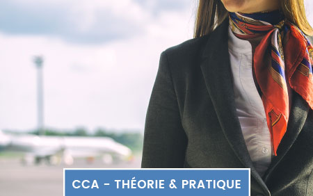 formation hotesse de l air prix