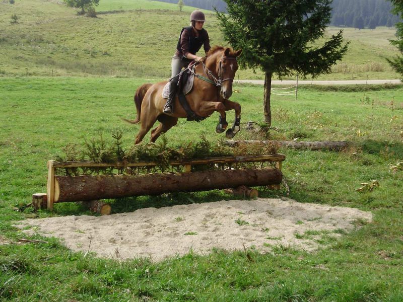bpjeps equitation