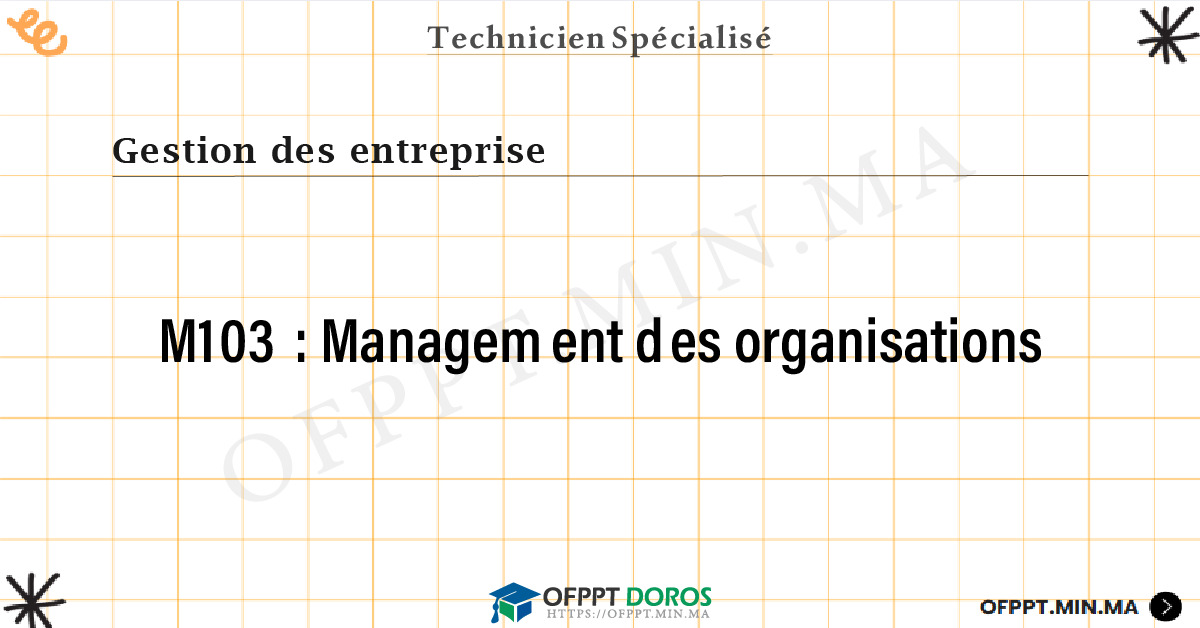 organisation et gestion des entreprises cours